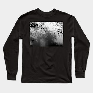 Mist in the Trees Long Sleeve T-Shirt